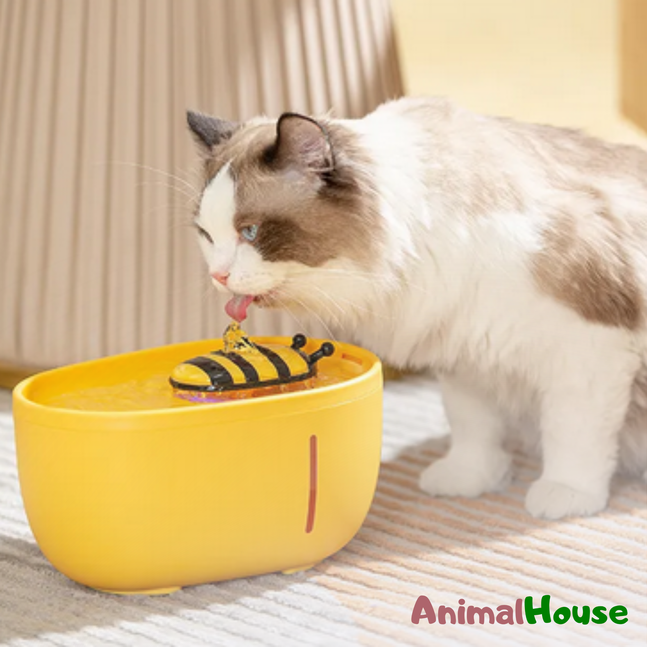 Fontanella per Gatti