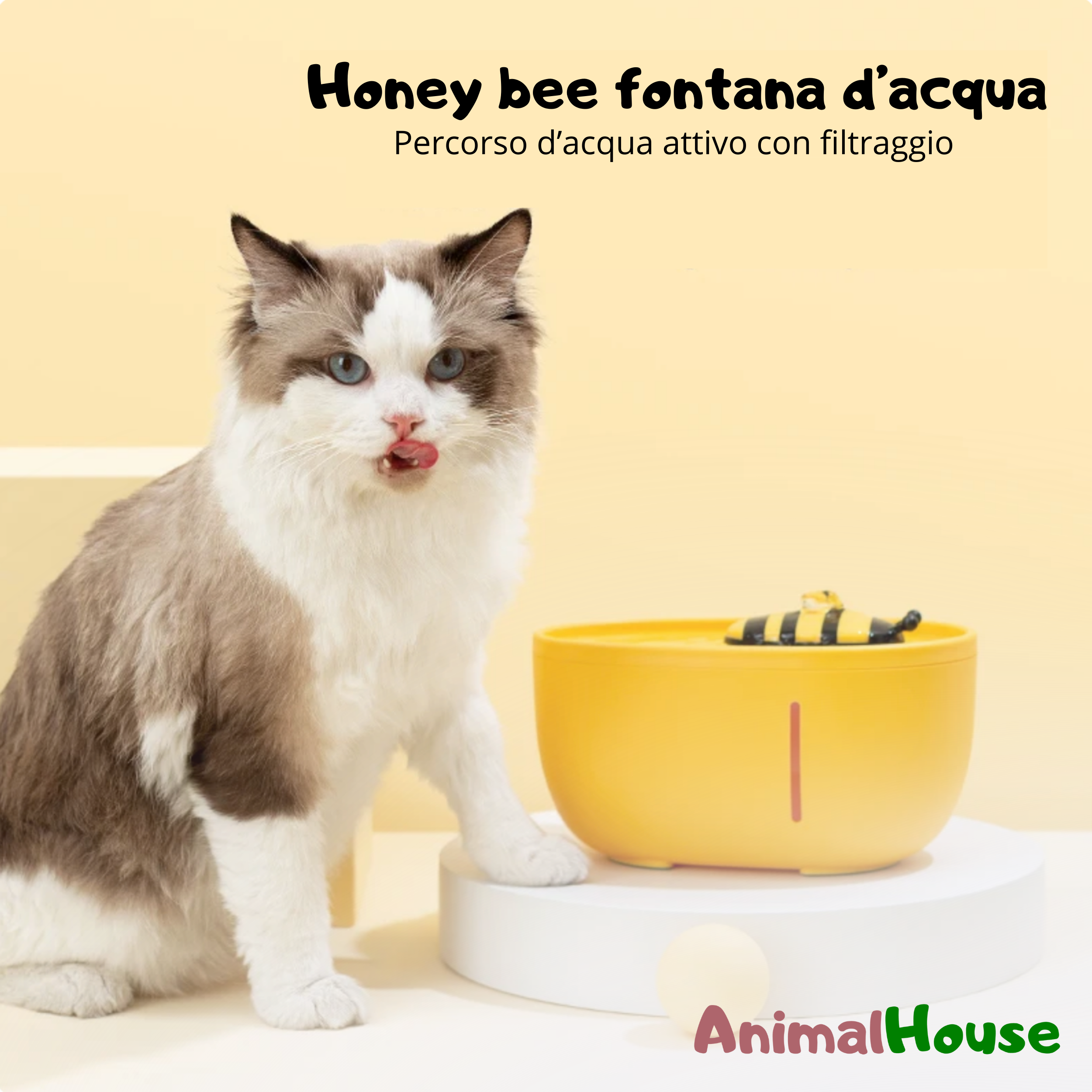 Fontanella per Gatti